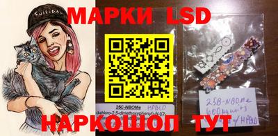 крисы Кингисепп