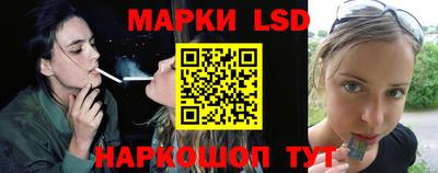 крисы Кингисепп