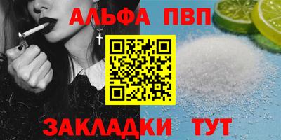 крисы Кингисепп