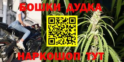 крисы Кингисепп