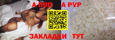 крисы Кингисепп